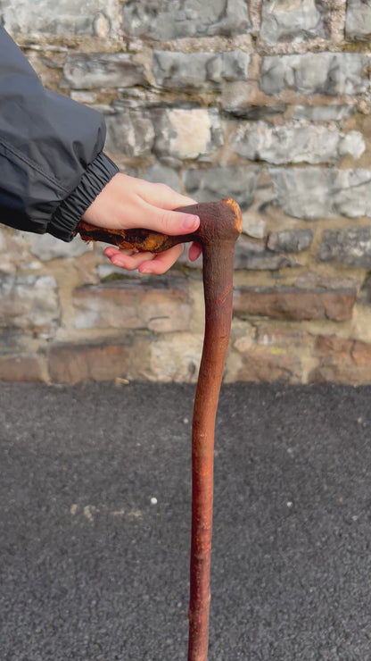 Blackthorn Walking Stick with L Handle – 94 cm (37”)