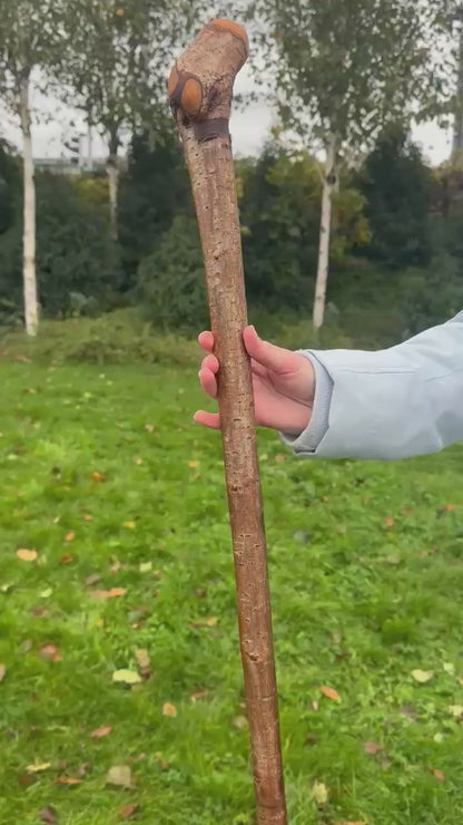 Hazel Walking Stick with Small Head – 114 cm  / 44.9 inches