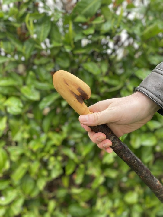 Blackthorn Walking Stick