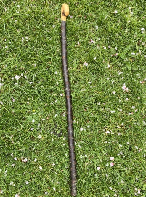 Blackthorn Walking Stick