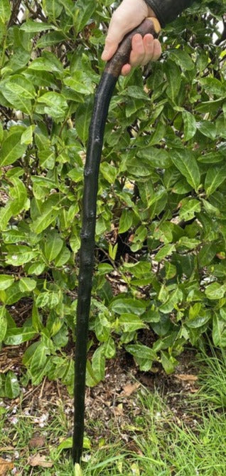 Blackthorn Walking Stick