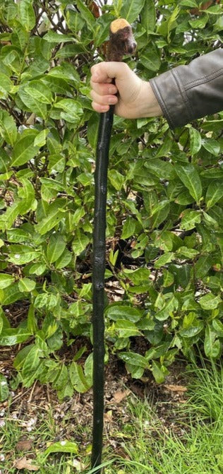 Blackthorn Walking Stick