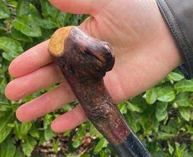 Blackthorn Walking Stick