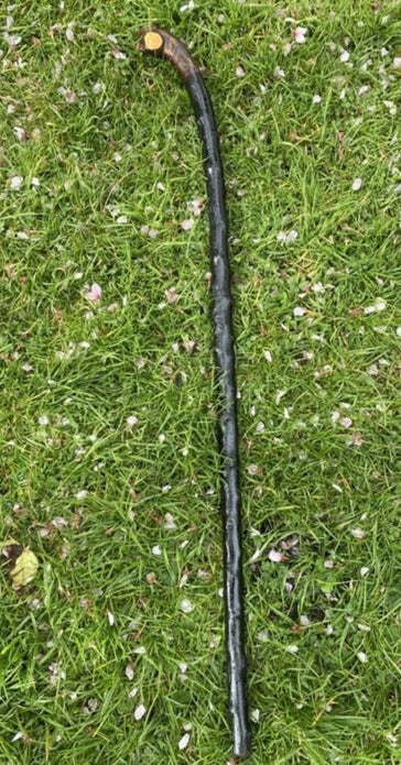 Blackthorn Walking Stick