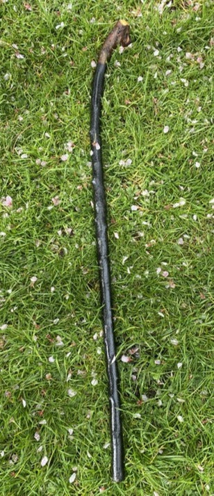 Blackthorn Walking Stick