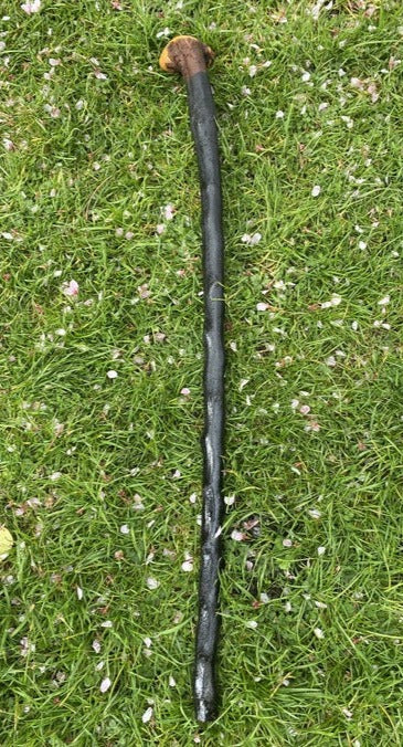 Blackthorn Walking Stick