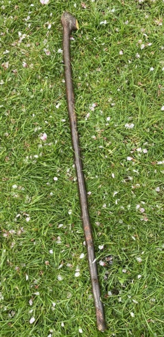 Blackthorn Walking Stick