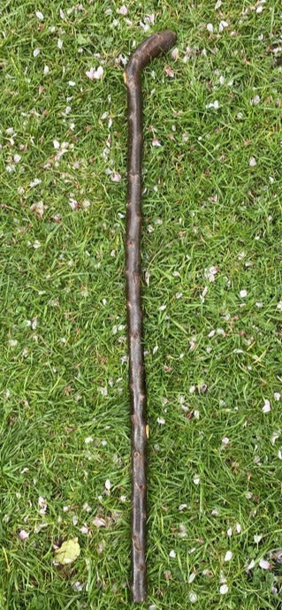 Blackthorn Walking Stick