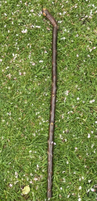 Blackthorn Walking Stick