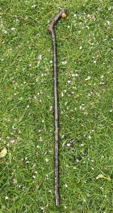 Blackthorn Walking Stick