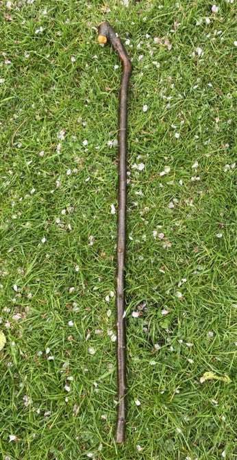 Blackthorn Walking Stick