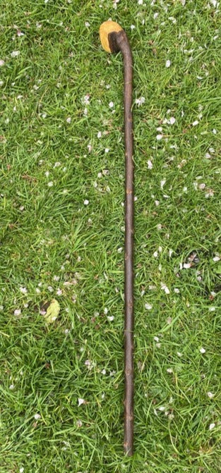 Blackthorn Walking Stick