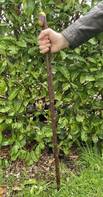 Blackthorn Stick #16 | Irish Walking Sticks