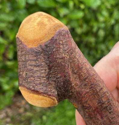 Blackthorn Stick #16 | Irish Walking Sticks