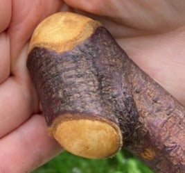 Blackthorn Stick #16 | Irish Walking Sticks