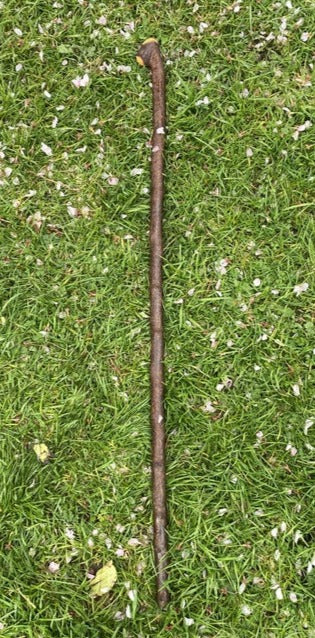 Blackthorn Stick #16 | Irish Walking Sticks
