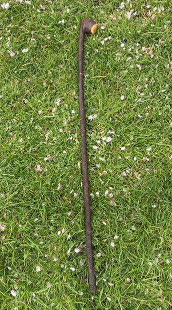 Blackthorn Walking Stick