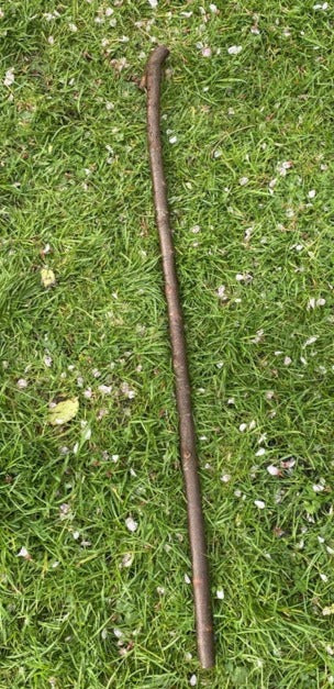 Blackthorn Walking Stick