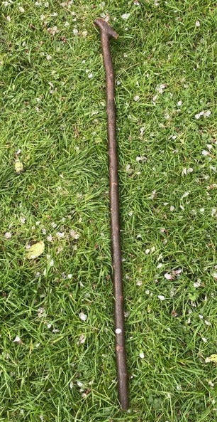 Blackthorn Walking Stick