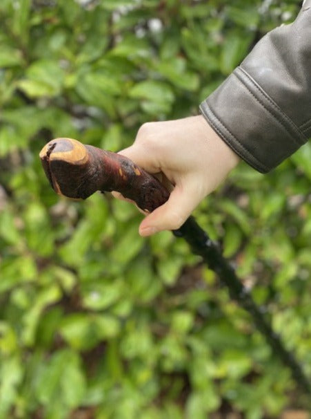 Blackthorn Walking Stick Grooved