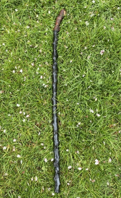 Blackthorn Walking Stick Grooved