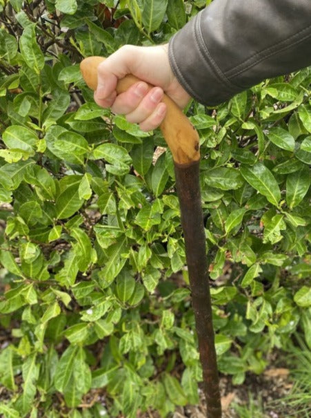 Blackthorn Walking Stick Large Grip