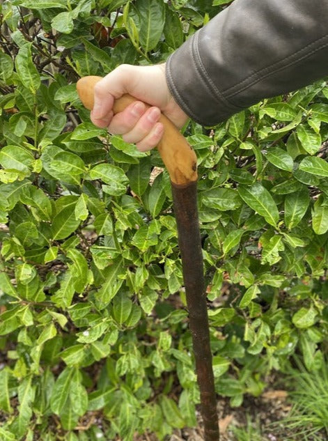 Blackthorn Walking Stick Large Handle