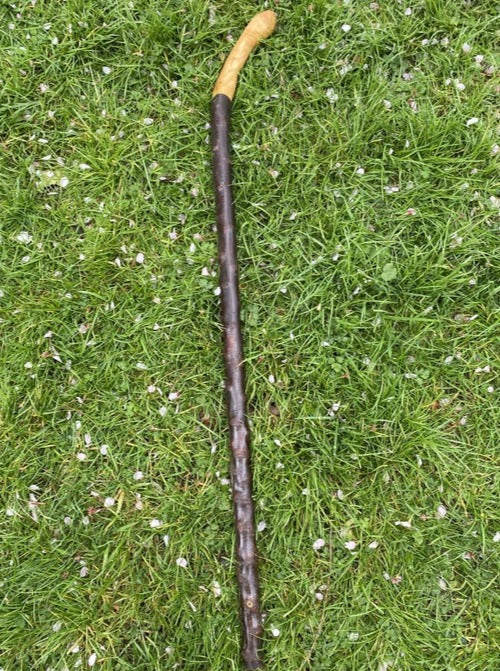 Blackthorn Walking Stick Large Handle