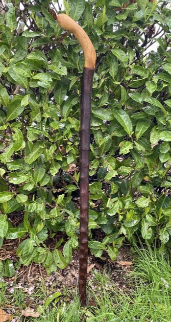 Blackthorn Walking Stick Large Grip