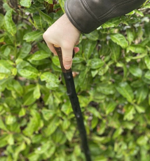 Blackthorn Walking Stick Medium