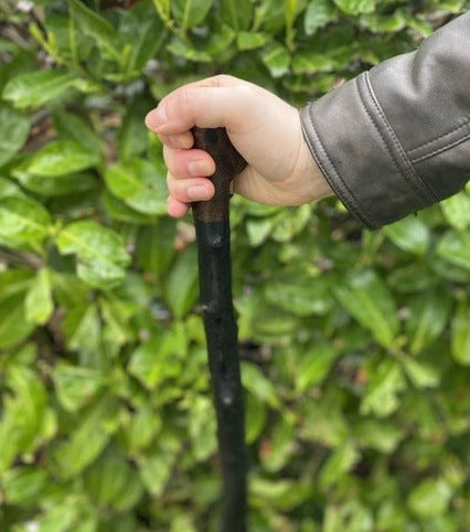 Blackthorn Walking Stick Medium