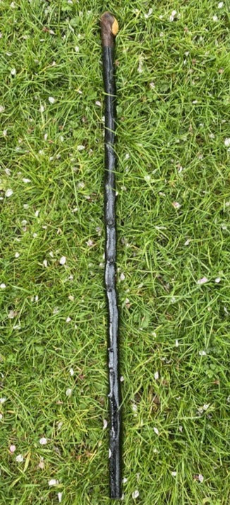 Blackthorn Walking Stick Medium