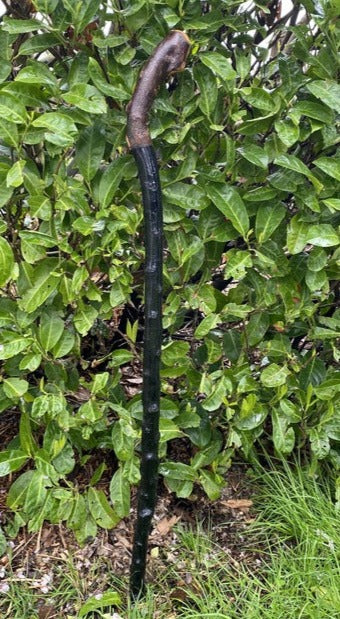 Blackthorn Walking Stick Large