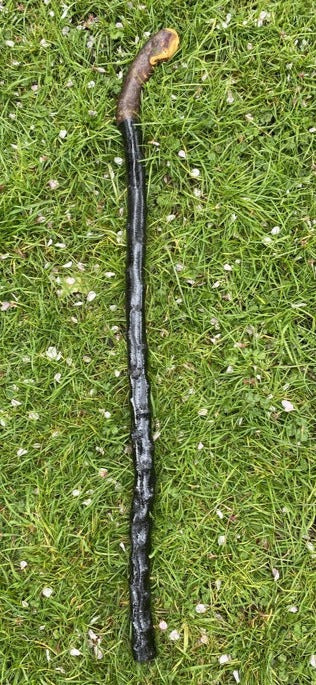 Blackthorn Walking Stick Large