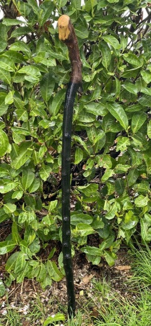 Blackthorn Walking Stick Large