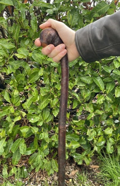 Blackthorn Walking Stick | My Irish Walking Stick