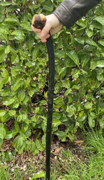 Blackthorn Walking Stick Lean Over