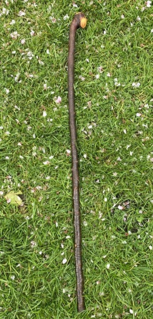 Blackthorn Walking Stick Mild Finish