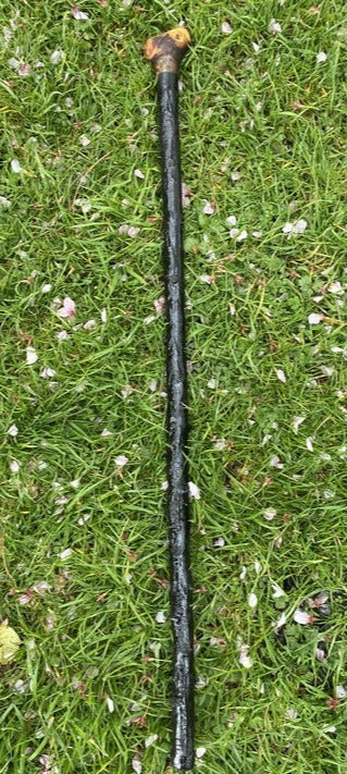 Blackthorn Walking Stick Medium