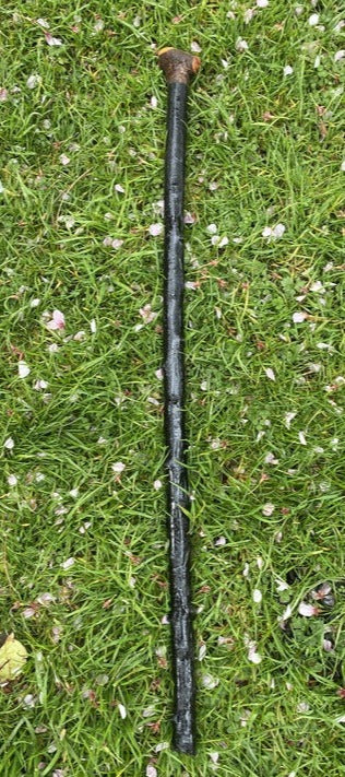 Blackthorn Walking Stick Medium