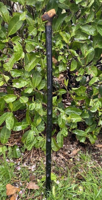 Blackthorn Walking Stick Medium